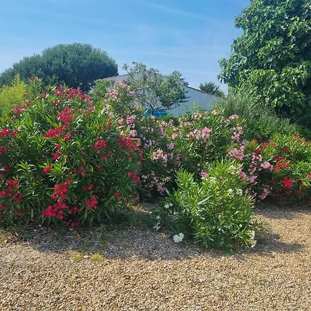Ferienhaus Sejour En Famille A Avail Dolus d'Oléron