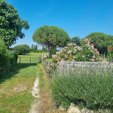 Sejour En Famille A Avail Dolus d'Oléron