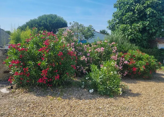 Сasa de vacaciones En Famille à Avail Dolus d'Oléron